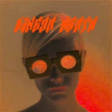 linear_north_demo_cover