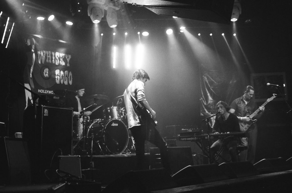 among authors band live concert